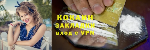 сатива Беломорск