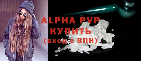сатива Беломорск