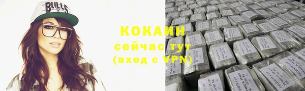 сатива Беломорск