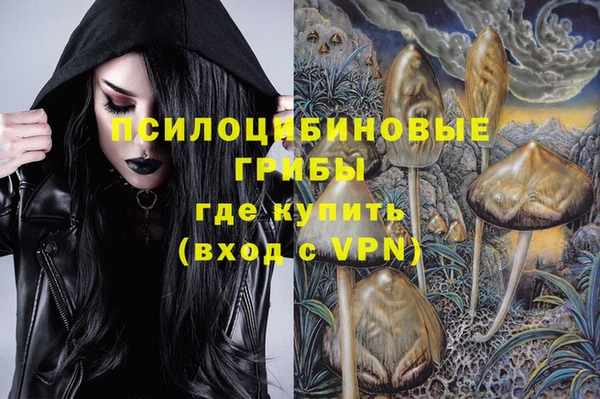 сатива Беломорск