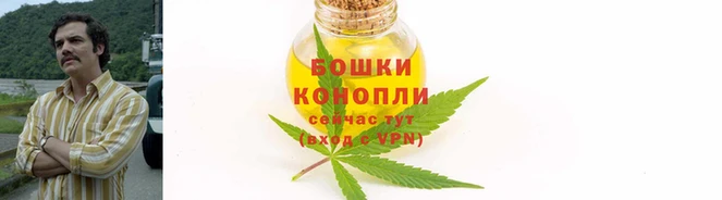 метамфетамин Белокуриха